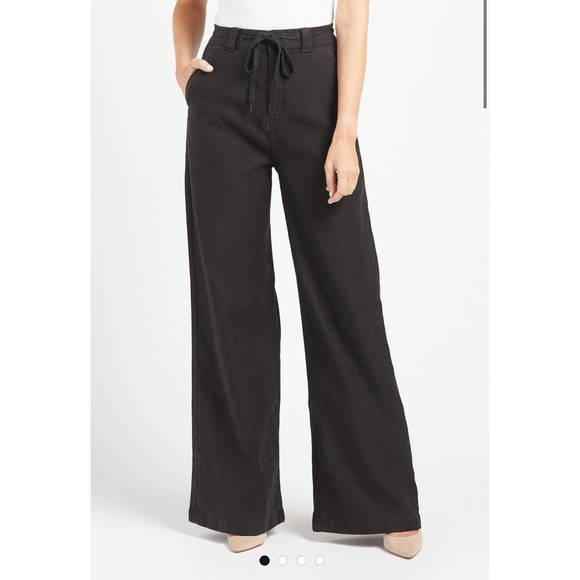 Hudson Jeans Pants & Jumpsuits Hudson High Rise Drawstring Wide Leg
